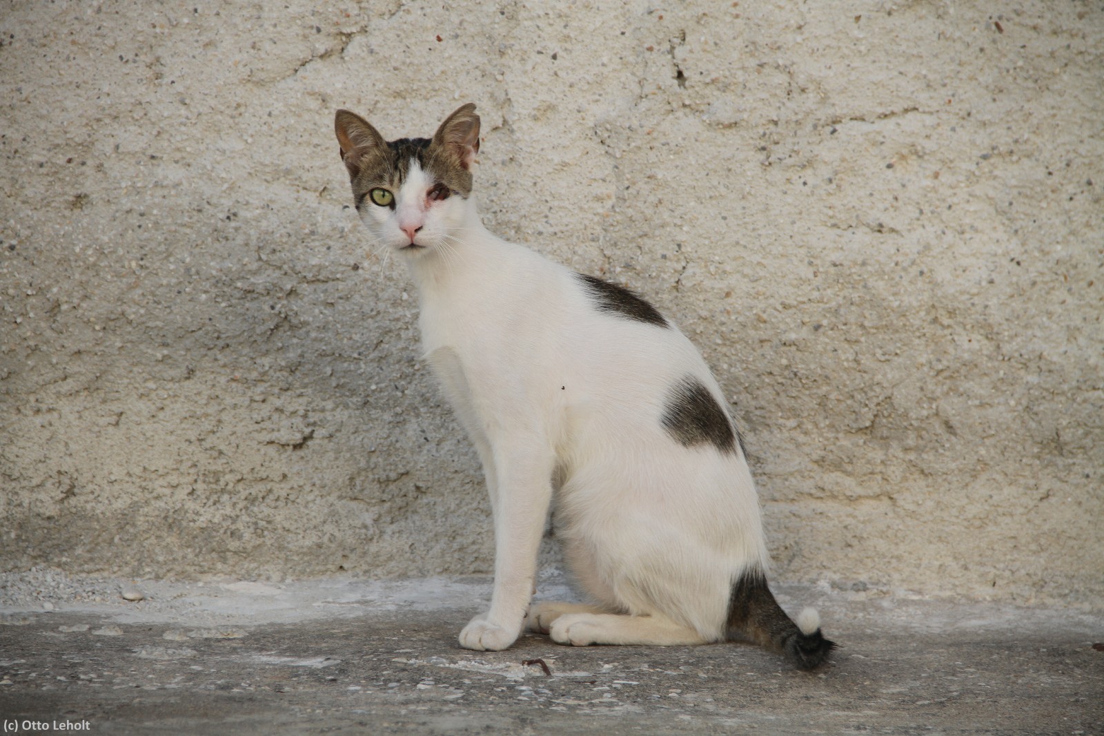 Pictures from Greece by otto leholt