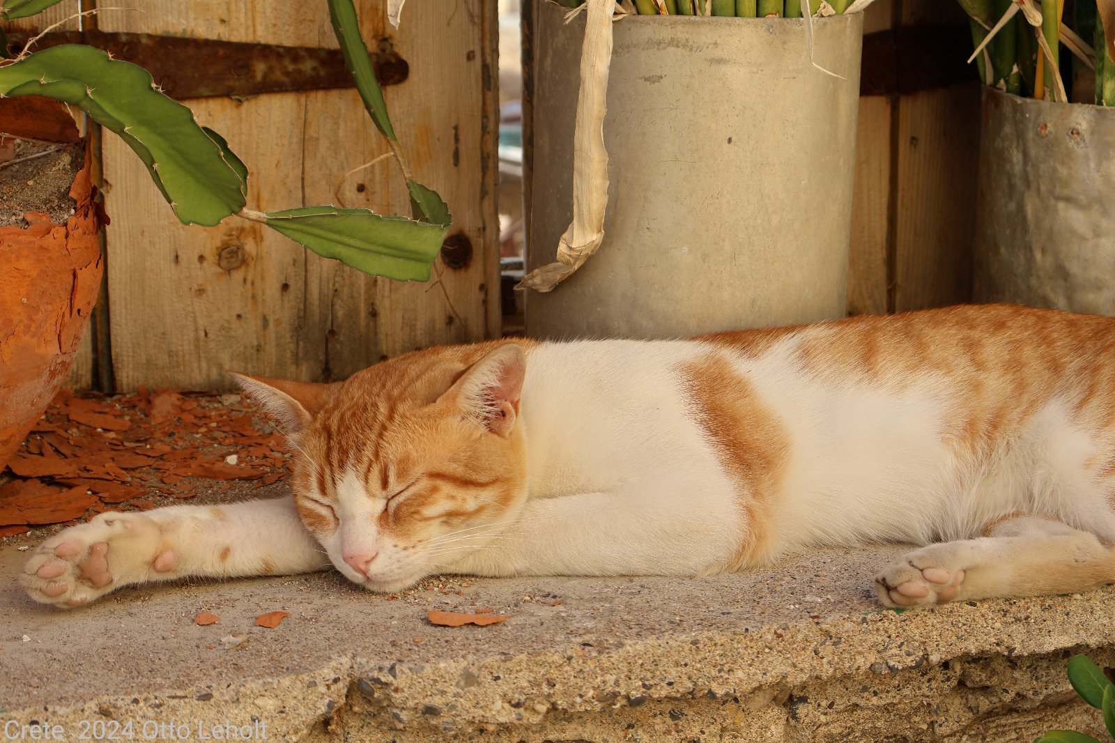 Pictures from Greece by otto leholt